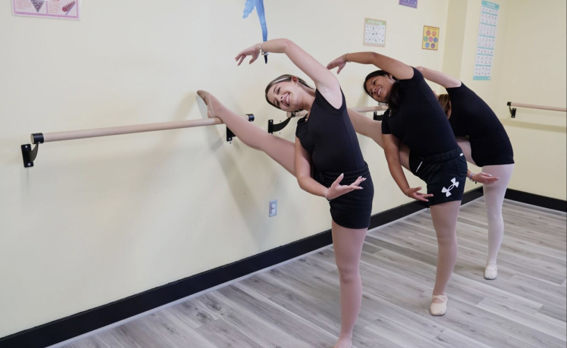 Workshops & Field Trips